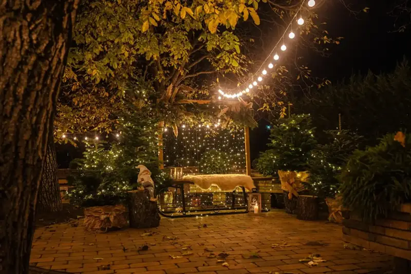 Garden patio lit with string lights